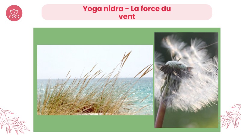 Jour 23. Yoga nidra - La force du vent avec Stéphane Lachance